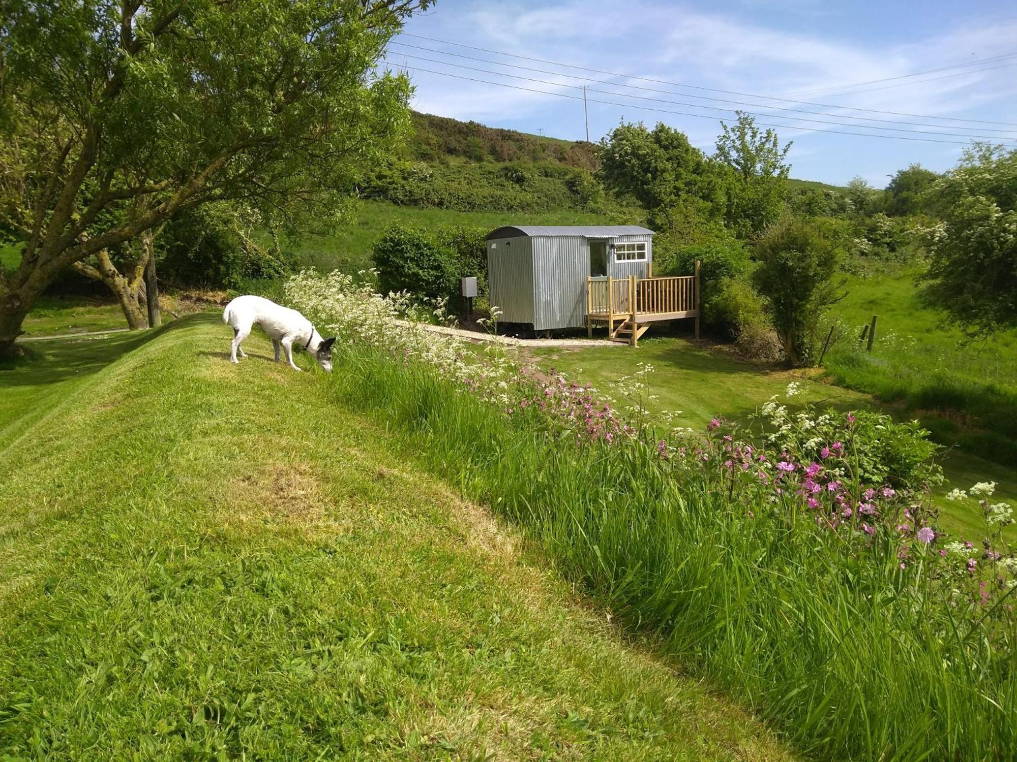 Shepherds Hut Γουέιμουθ Εξωτερικό φωτογραφία